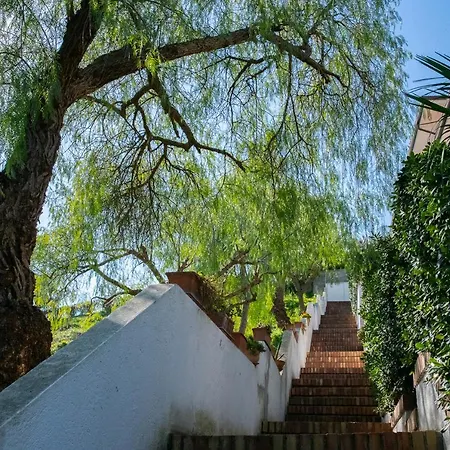 L'ogliastro Lejlighed *