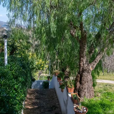 L'ogliastro Petrizzi