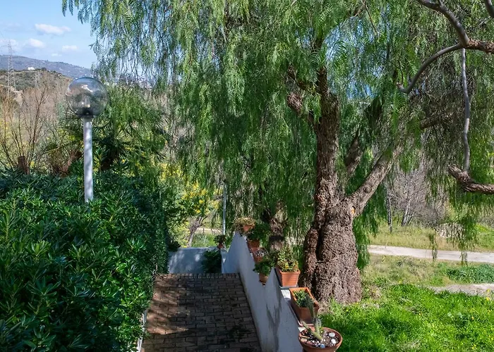 L'ogliastro Petrizzi